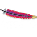 Apache